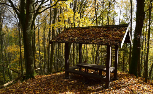 37 Atokvėpio vieta Šereiklaukio miške.jpg